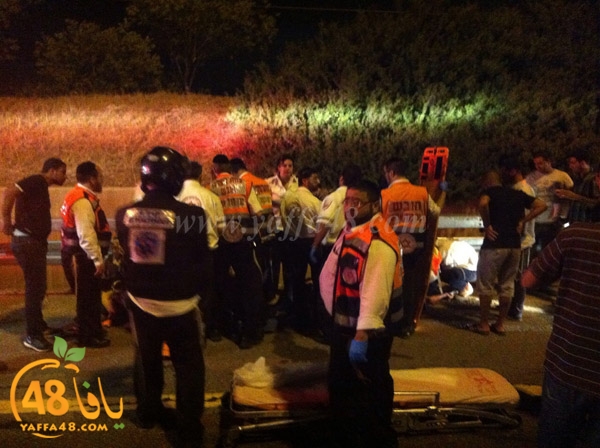 acc lud neae (3).jpg